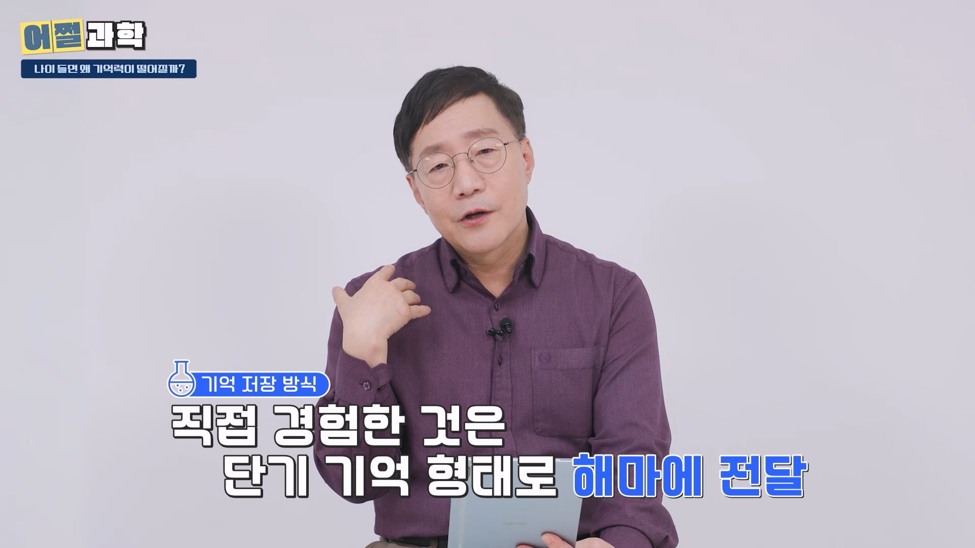 직접 경험한 것은 단기 기억 형태로 해마에 전달